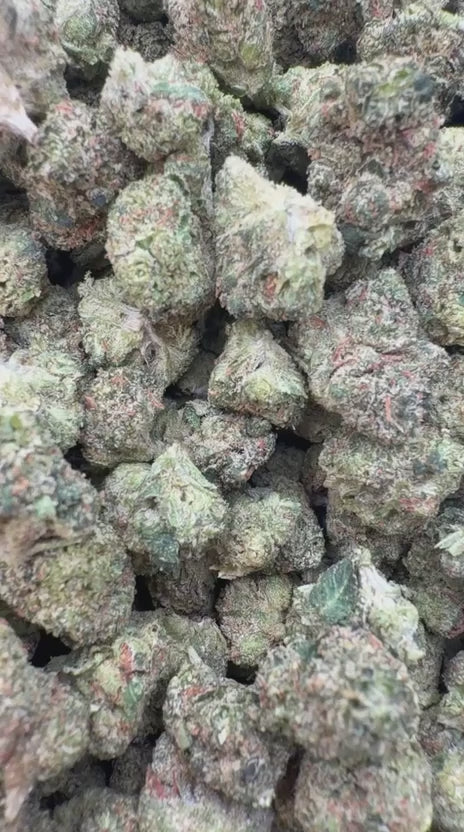 Load video: Orange Creamsicle Littles - Bulk Littles - Sativa