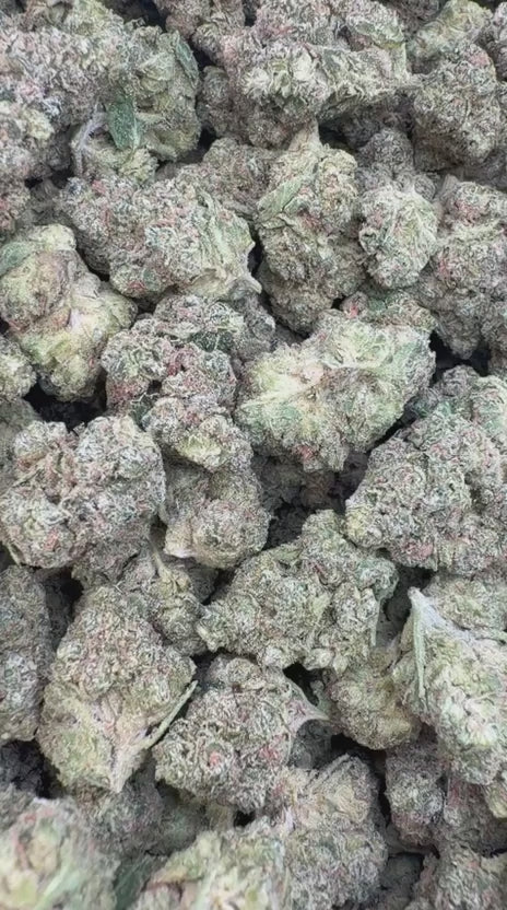 Load video: Fire OG Mediums - Bulk Mediums - Indica