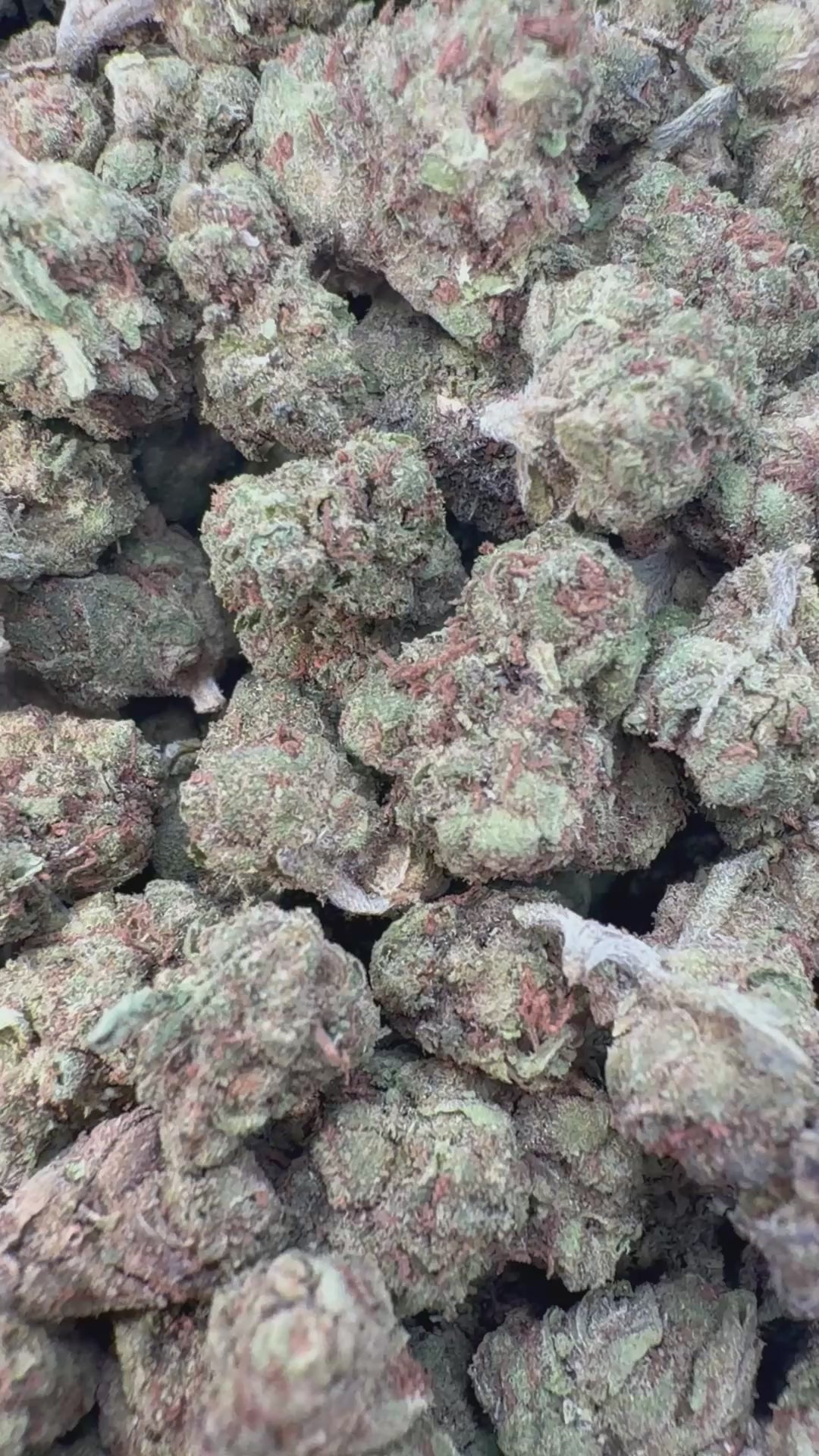 Load video: Super Boof Littles - Bulk Littles - Hybrid