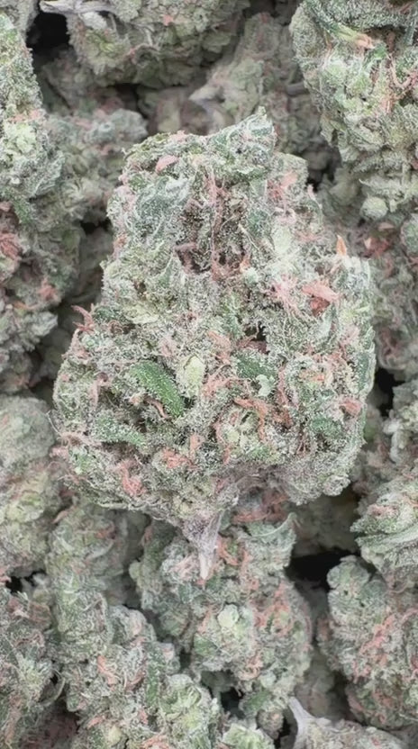 Load video: Double Dream Indoor - Bulk - Sativa