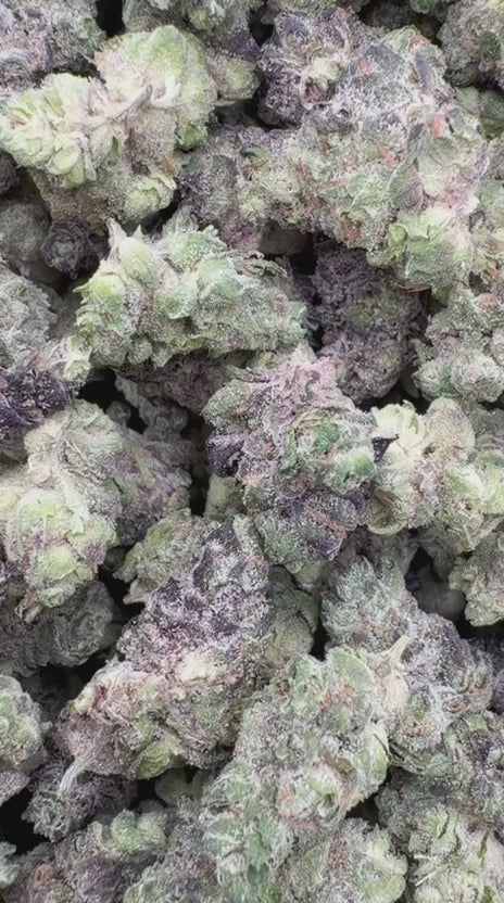Load video: Hashburger Indoor Littles - Bulk Littles - Indica