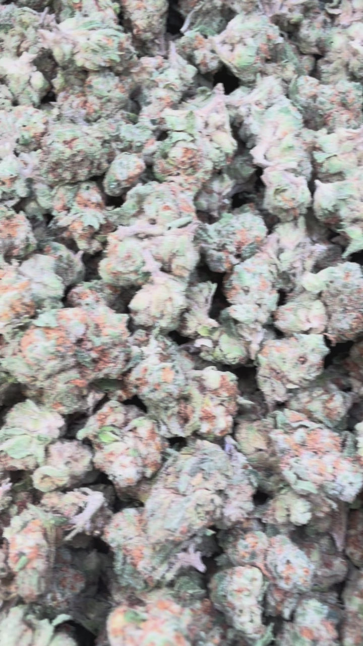 Load video: Fruity Pebbles OG Littles - Bulk Littles - Indica