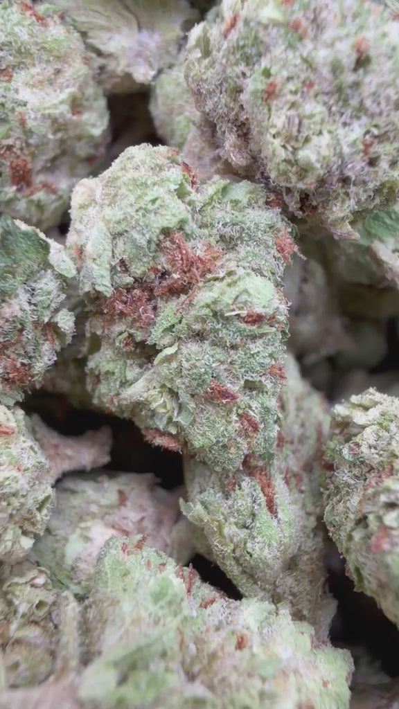 Load video: Gelato Kush Littles - Bulk Littles - Indica
