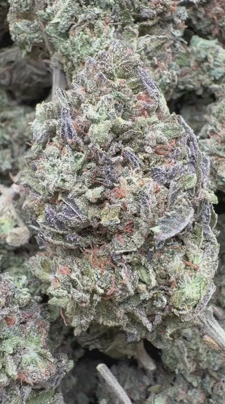 Load video: Biscotti Cake - Bulk - Hybrid