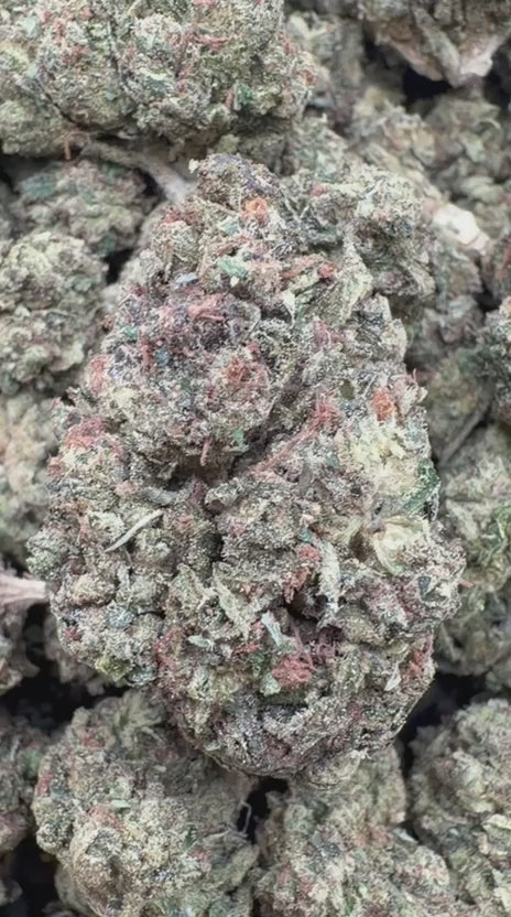 Load video: Orange Creamsicle - Bulk - Sativa