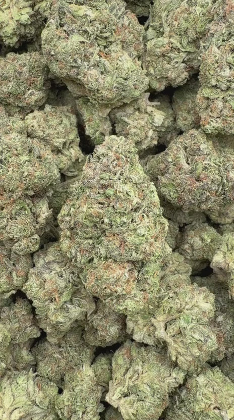 Load video: Space Runtz - Bulk - Hybrid