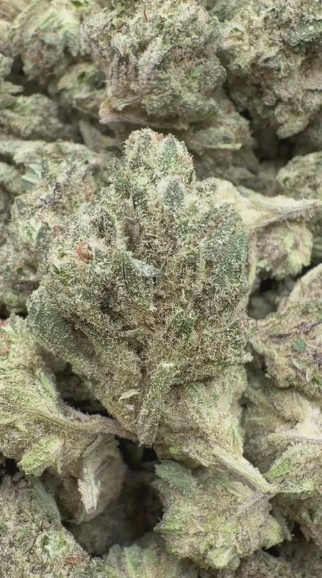 Load video: Godfather OG - Bulk - Indica