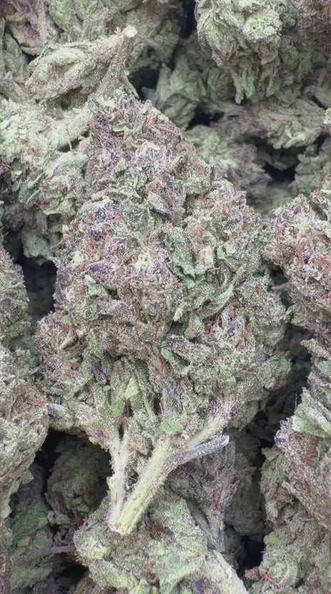 Load video: Gary Cherry - Bulk  - Indica