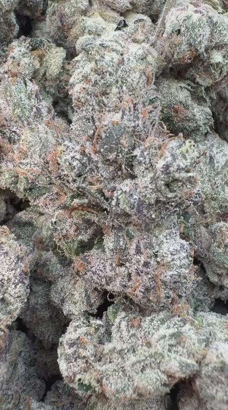 Load video: Elite Boutique Exotics Cotton Kandy Faygo - Bulk - Hybrid