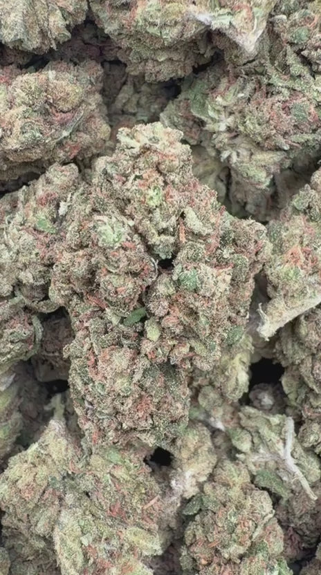 Load video: Durban Poison - Bulk - Sativa