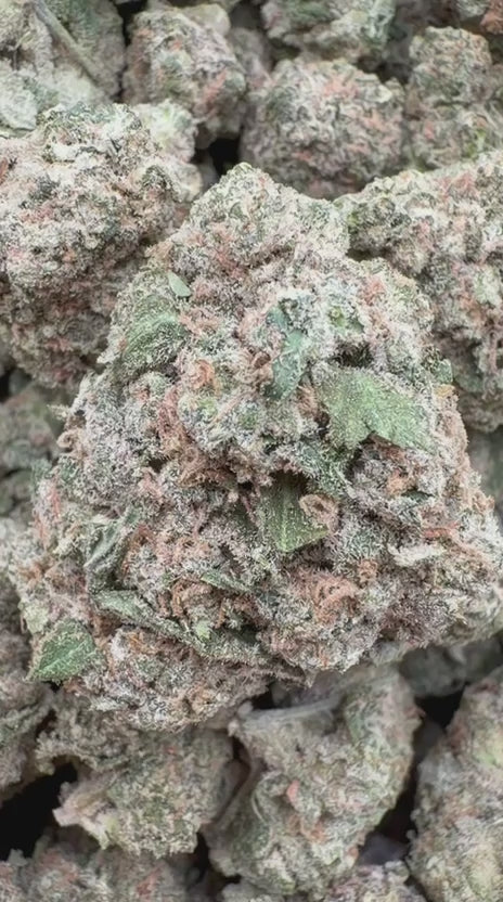 Load video: Blueberry Headband  - Bulk - Hybrid