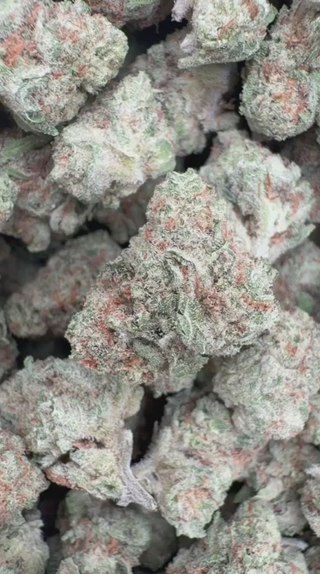 Load video: Papaya Runtz Littles - Bulk Littles - Hybrid