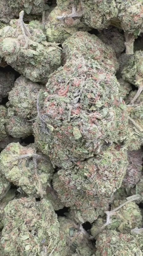 Load video: Lemon Cherry Biscotti - Bulk - Hybrid
