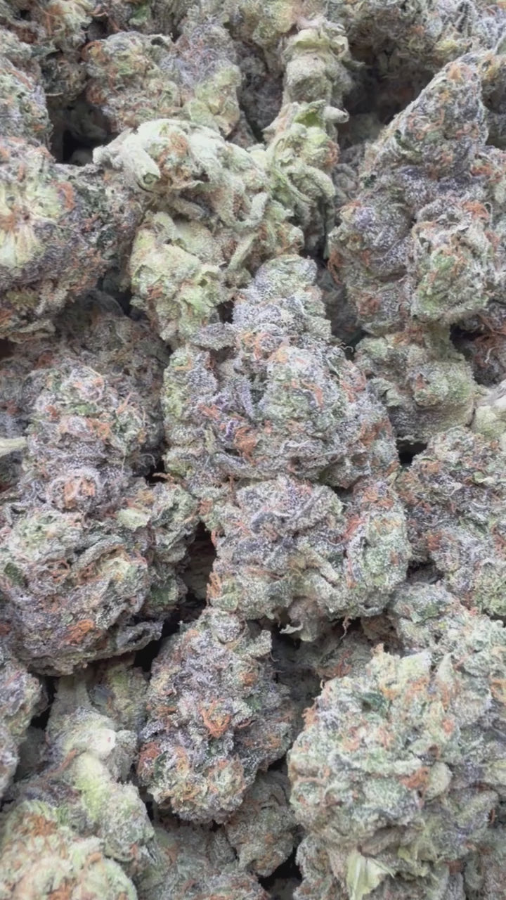 Load video: Sherblato Indoor - Bulk - Hybrid