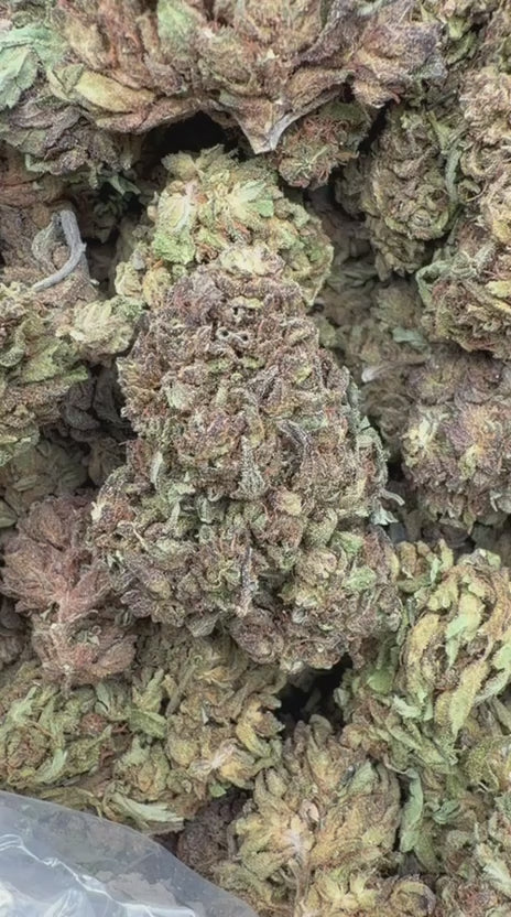 Load video: Purple Hindu - Bulk - Indica