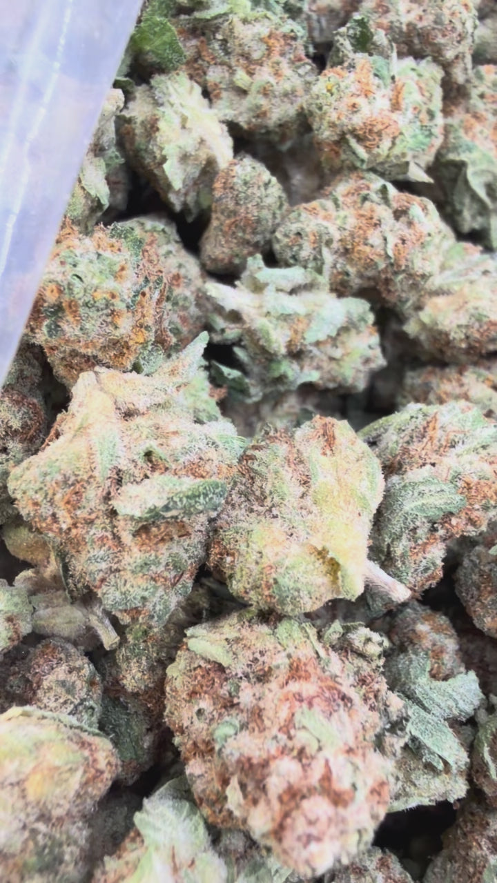 Load video: Girl Scout Cookies Littles - Bulk Littles - Hybrid