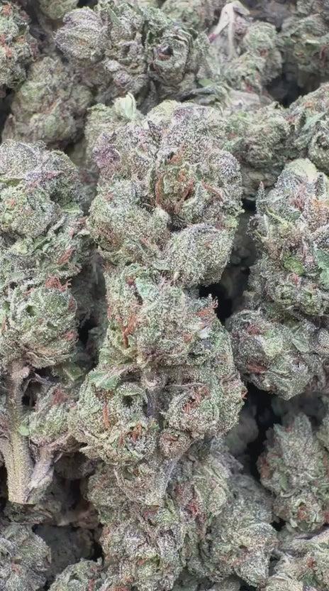 Load video: Candy Runtz - Bulk - Hybrid