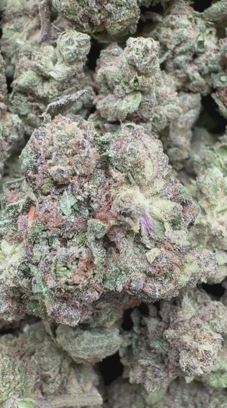 Load video: Horchata Gas - Bulk - Hybrid