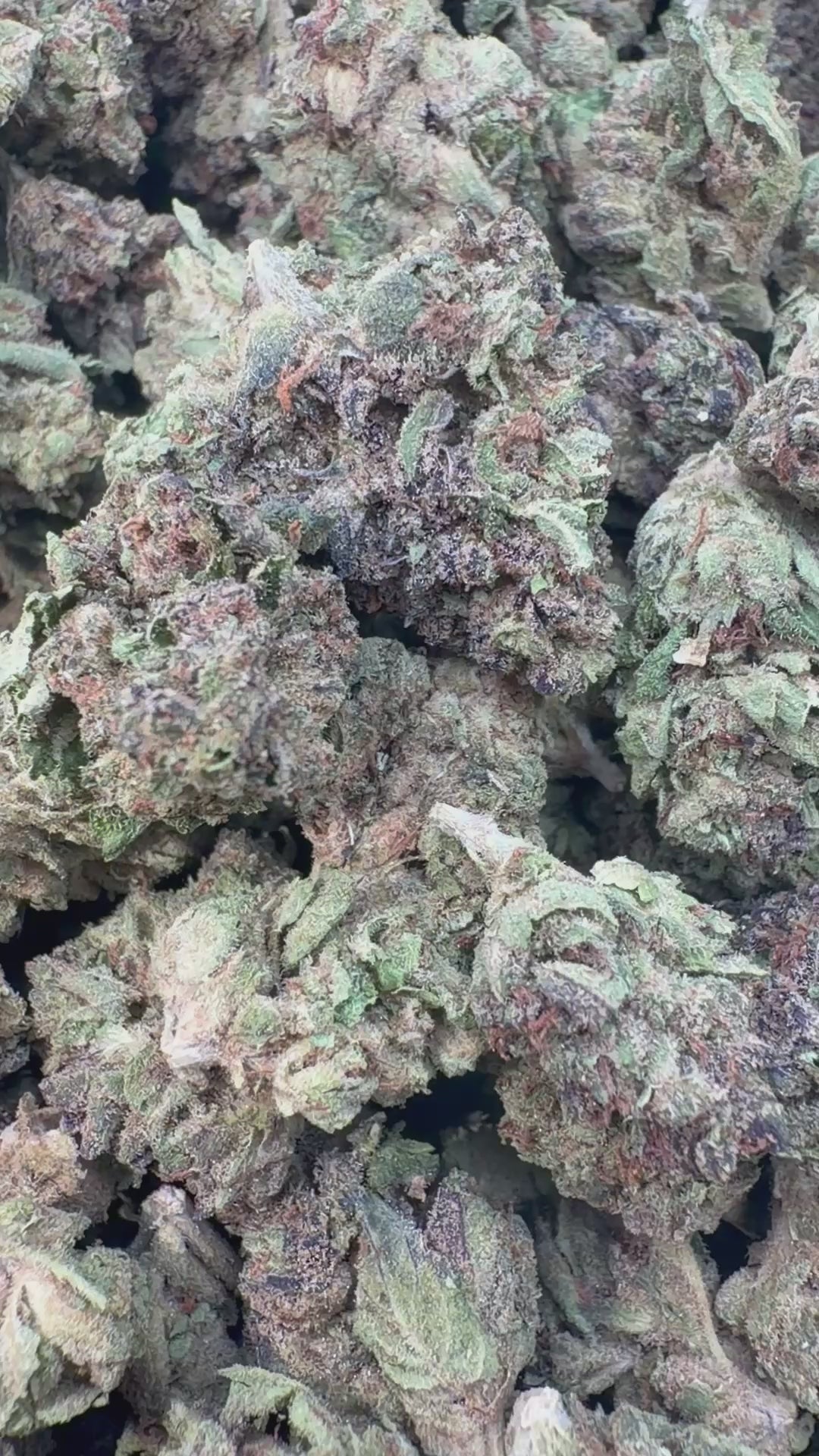 Load video: Peak 112 Littles - Bulk Littles - Indica