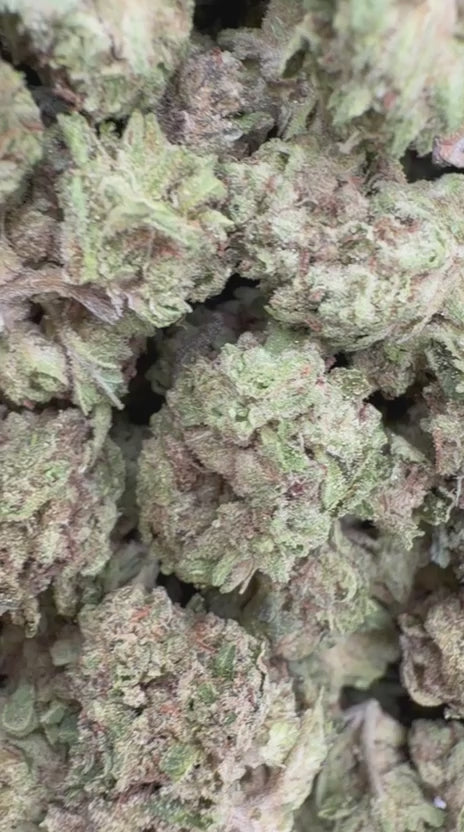 Load video: Super Runtz Littles - Bulk Littles - Hybrid
