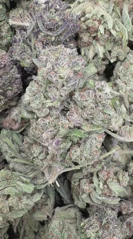Load video: Platinum Berry - Bulk - Hybrid