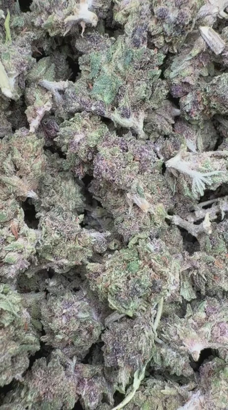 Load video: Purple Hindu Littles - Bulk Littles - Indica
