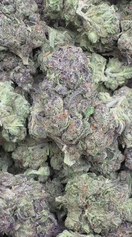 Load video: Black Cherry Soda - Bulk - Indica