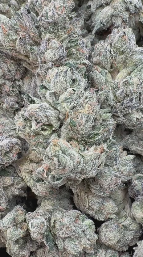 Load video: Better Than Yours Indoor - Bulk - Indica