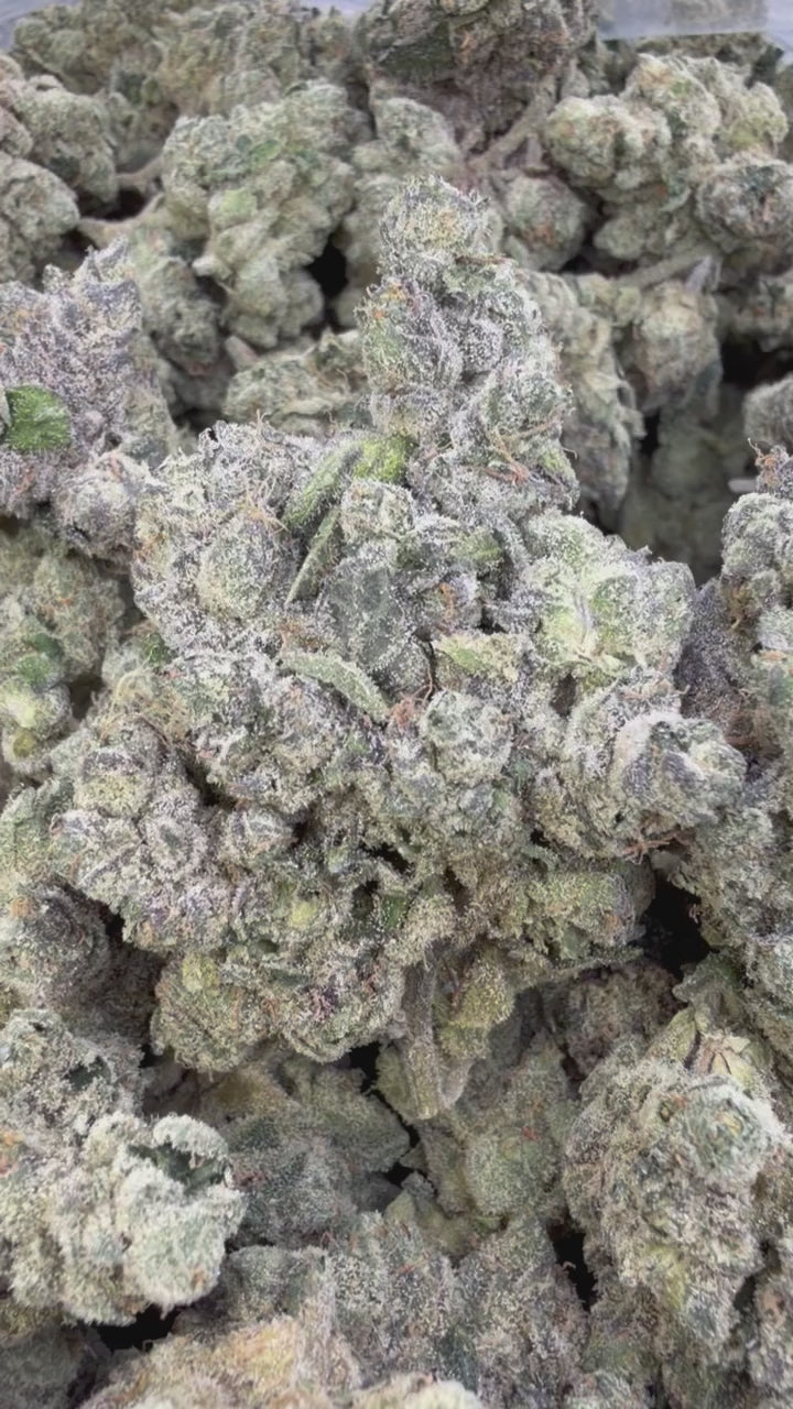 Load video: Elite Boutique Exotic Bolo Runtz - Bulk - Indica