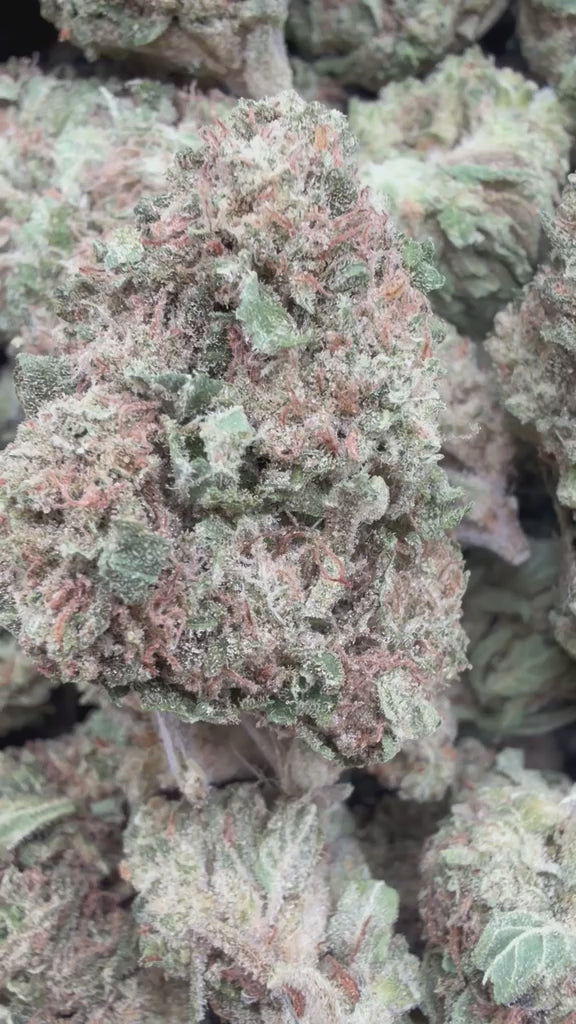 Load video: Diesel Frost - Bulk - Sativa