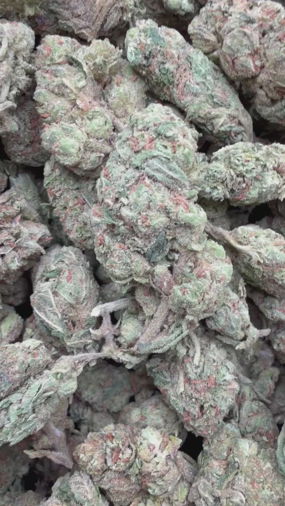 Load video: Runtz - Bulk - Hybrid