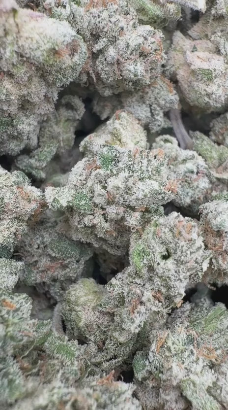 Load video: White Widow Indoor Littles - Bulk Littles - Hybrid