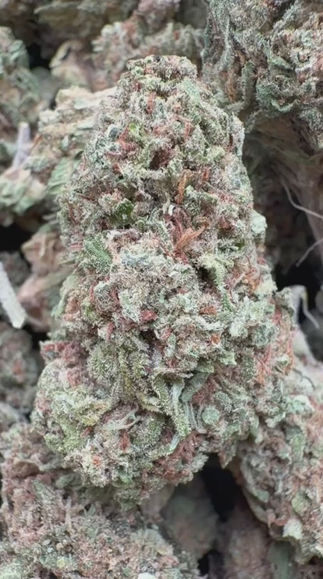 Load video: Forbidden Fruit - Bulk - Indica