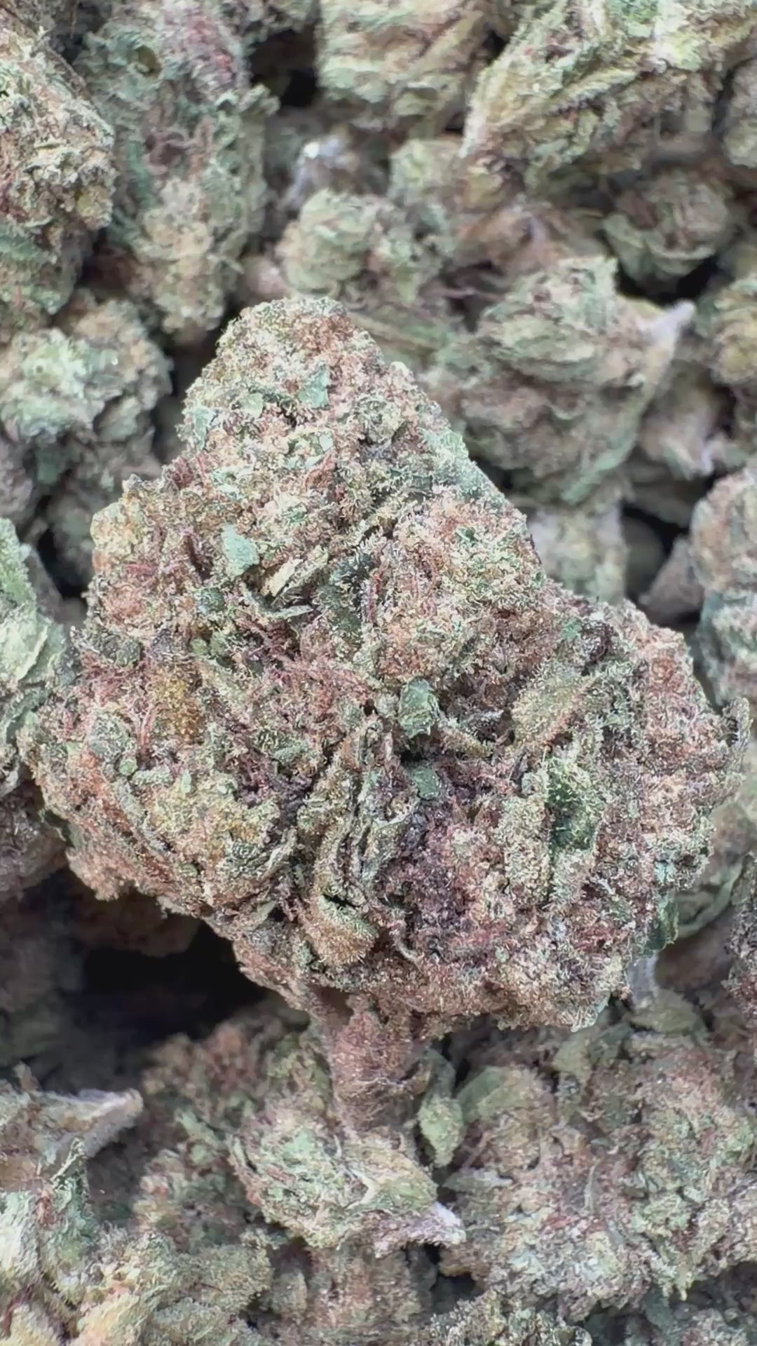 Load video: Zesty Parm - Bulk - Hybrid