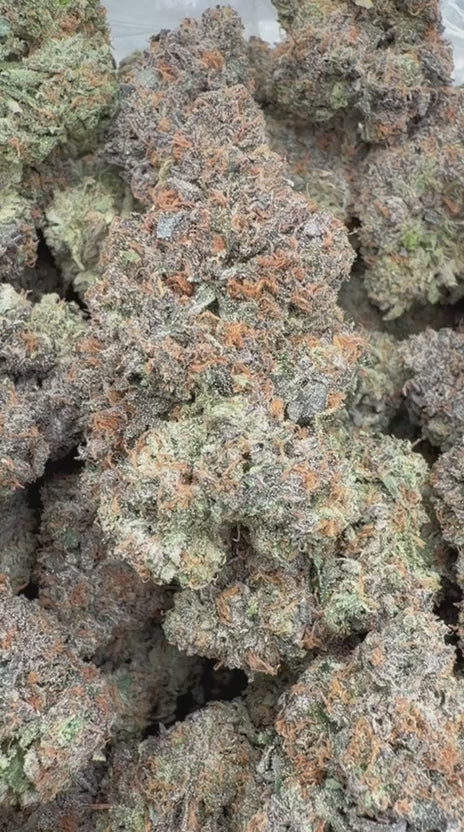 Load video: Nuclear Zkittlez Indoor - Bulk - Hybrid