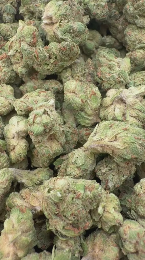 Load video: Durban Poison Littles - Bulk Littles - Sativa