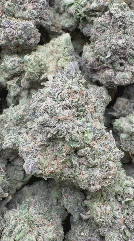 Load video: Candy Gas Indoor - Bulk - Hybrid