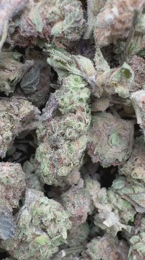 Load video: Han Solo Burger Littles - Bulk Littles - Indica