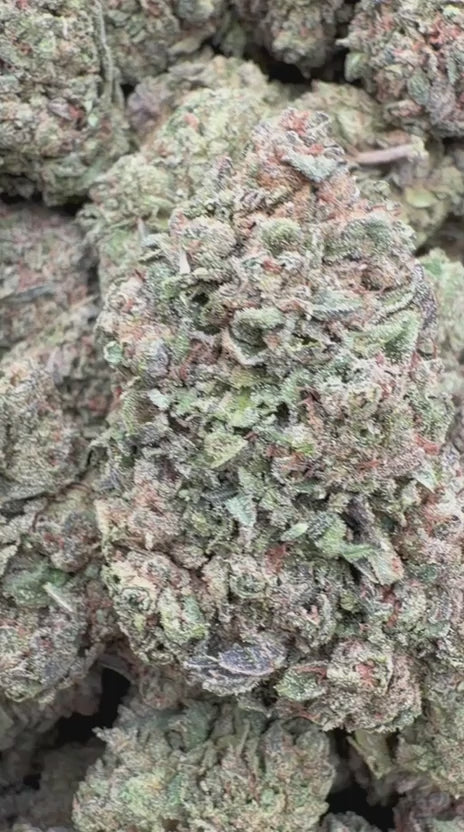 Load video: Heir Heads - Bulk - Indica