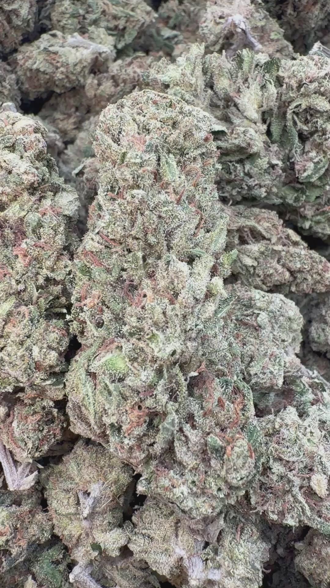 Load video: Double Dream - Bulk - Sativa