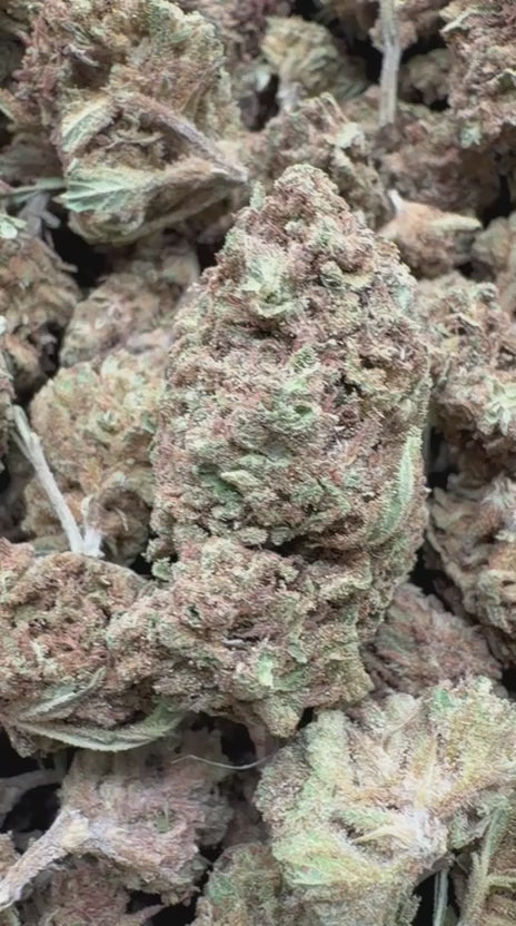 Load video: Amnesia Haze - Bulk - Sativa