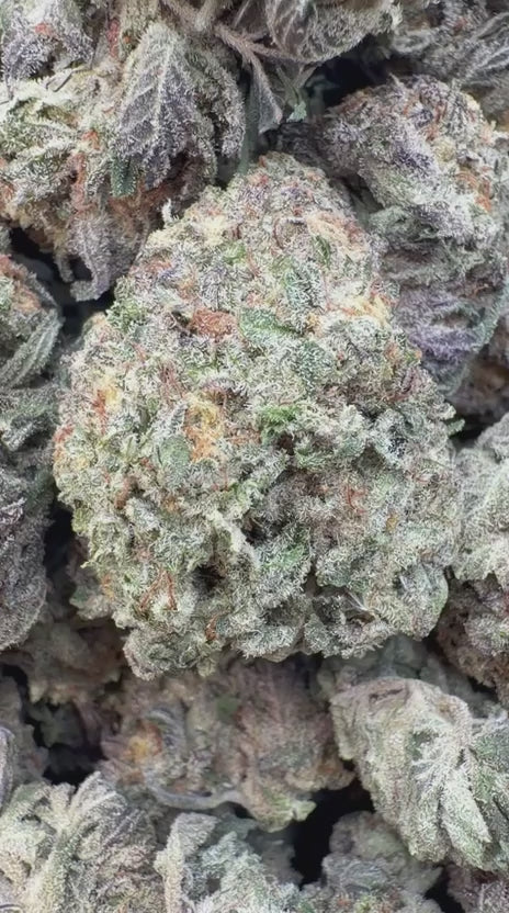 Load video: Cakemera - Bulk - Indica