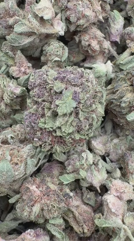 Load video: Pop Cherry Littles - Bulk Littles - Hybrid