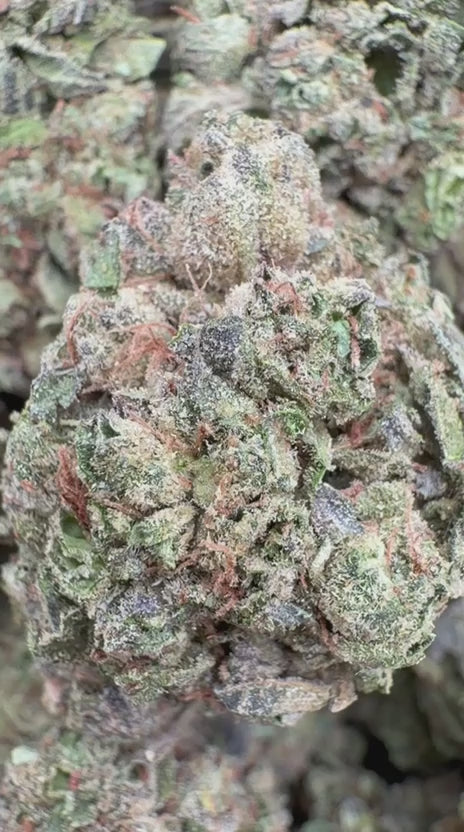 Load video: Sharpie Candy - Bulk- Hybrid