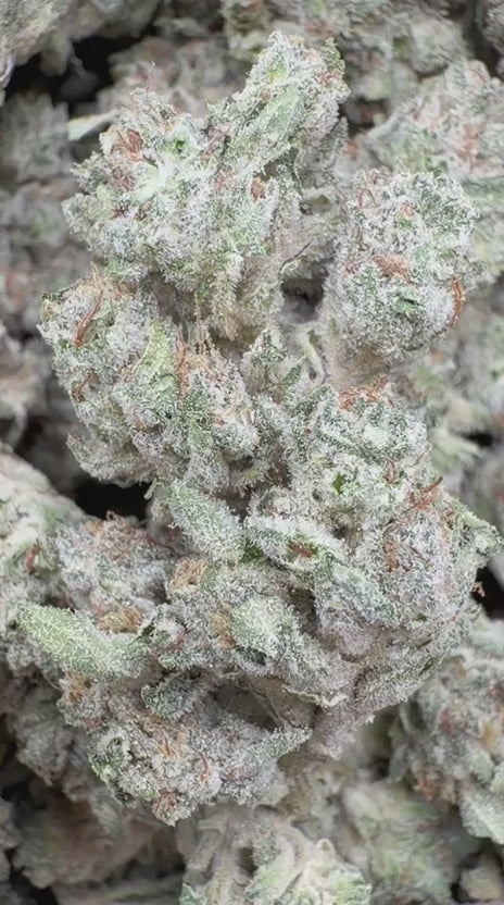 Load video: Cookies and Cream - Bulk - Hybrid