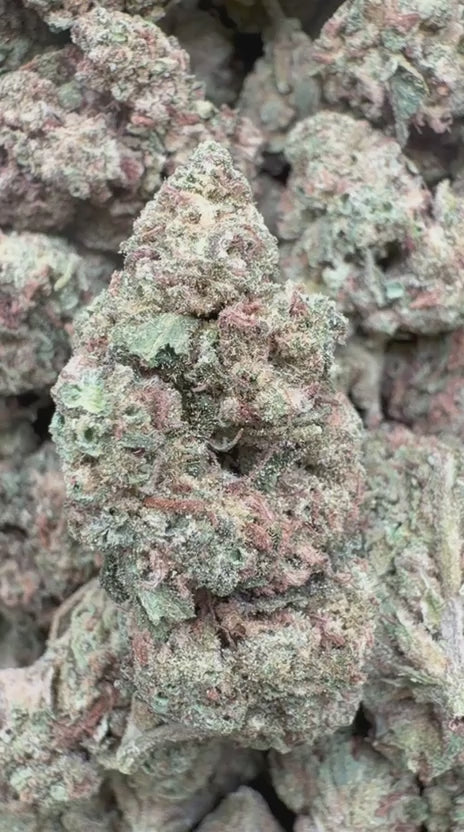 Load video: Cranberry Kush - Bulk - Hybrid