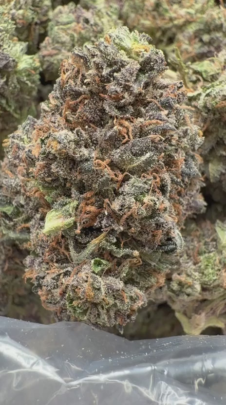 Load video: Grape Zkittles Indoor - Bulk - Hybrid