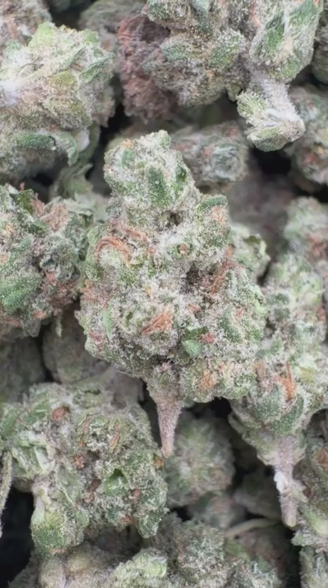 Load video: Peanut Butter Cup Littles - Bulk Littles - Indica