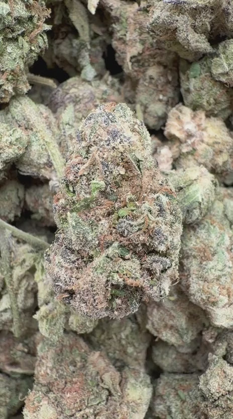 Load video: Rainbow Runtz - Bulk - Hybrid