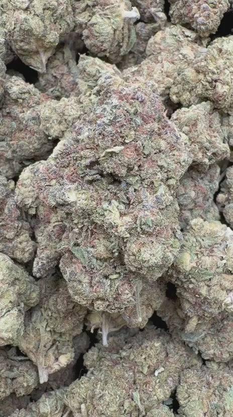 Load video: Strawberry Gelato - Bulk - Hybrid